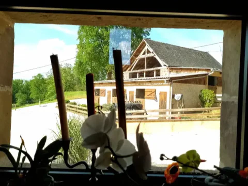 Photo 0