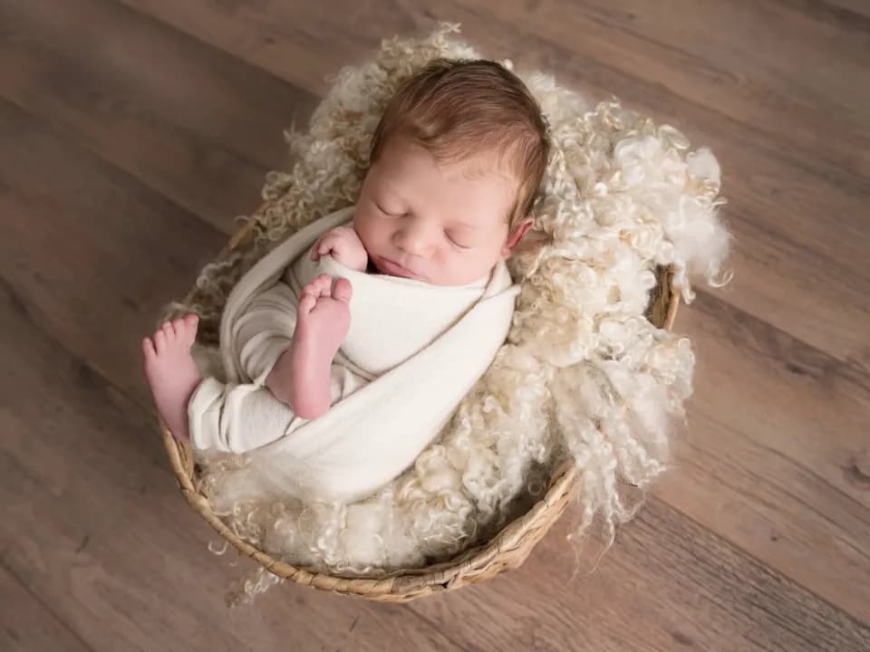 Photo 4