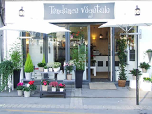 Photo 0