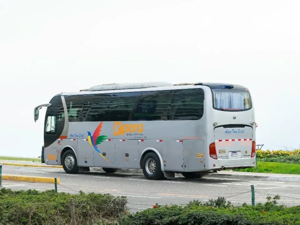 Photo 5