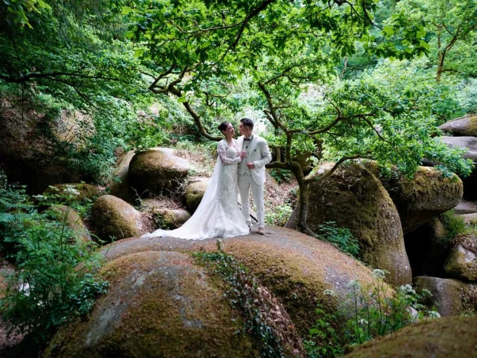 Photo 4
