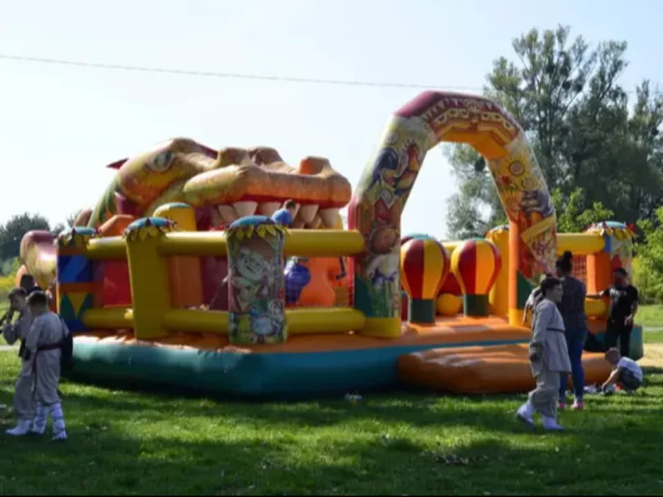 Photo 1