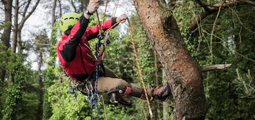 Comment choisir son Activité team building