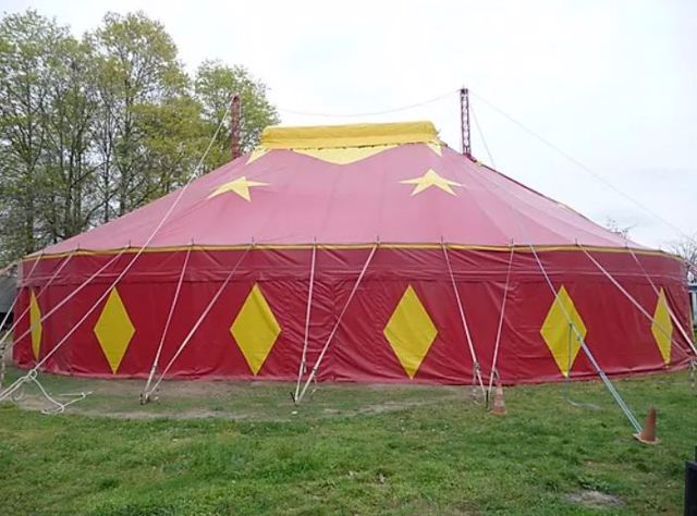 Electro Shock Circus