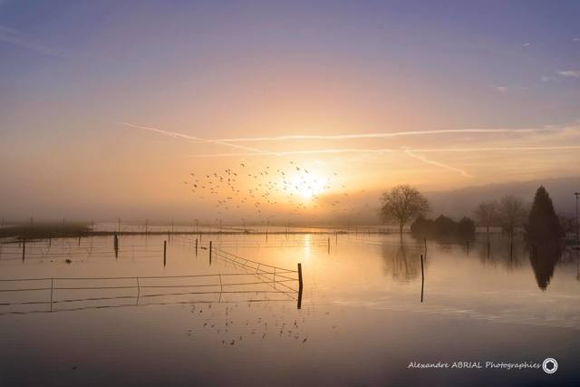 Alexandre Abrial Photographies