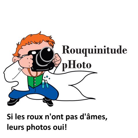 Rouquinitude pHoto