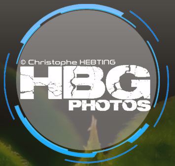 HBG Photos