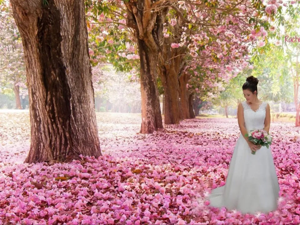 LA VIE EN ROSE STUDIO