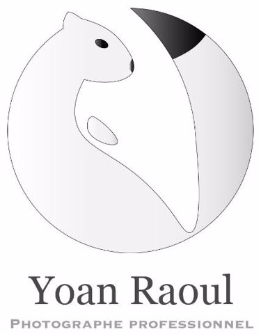 Yoan Raoul