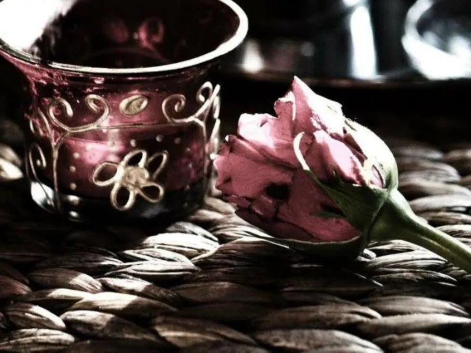 DANY PHOTOGRAPHE