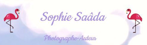 Sophie Saâda Photographe