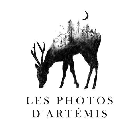 Les Photos d'Artémis