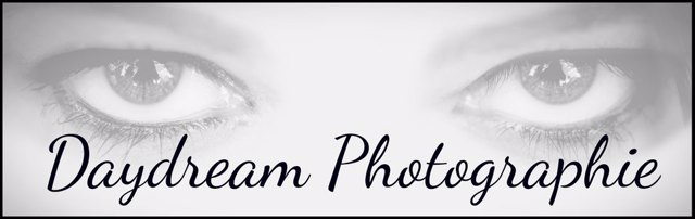 Daydream Photographie