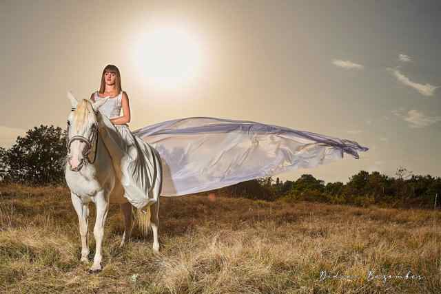 Didier Bezombes Photographe