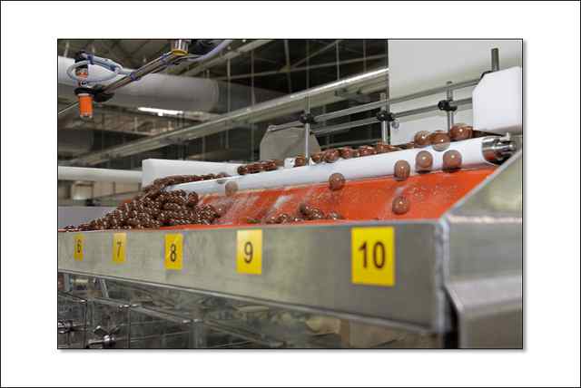 ROLAND COLLIGNON - ARCALOD STUDIO