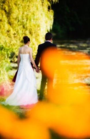 RÉGIS VIOT PHOTOGRAPHE