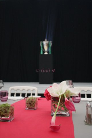 Gali M