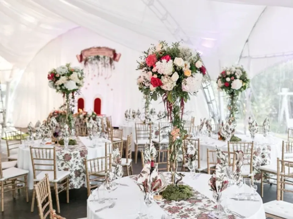 Maadi Events