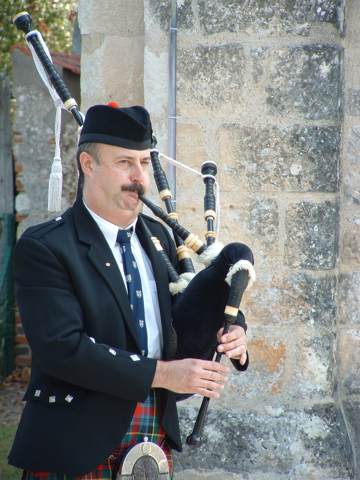 Piper