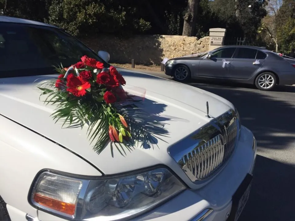 AVIGNON LUXURY LIMOUSINE