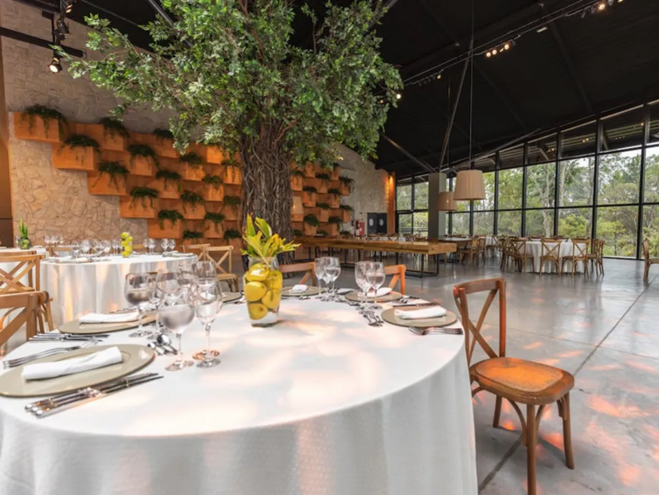 DOMAINE DE COMBELONGUE