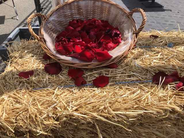 LES PORTES DU LAC PAR SOF' EN CUISINE