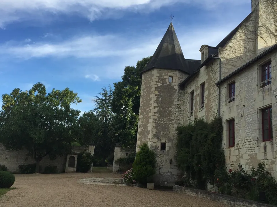 AU PRINCE GRENOUILLE