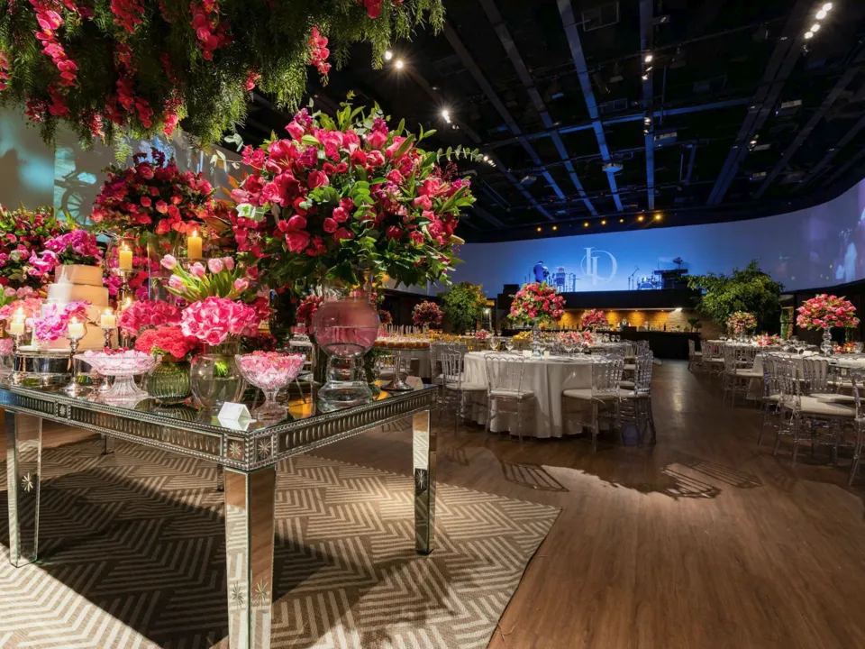 TIGRE DU BAIN BALLES - SALLE LUDIQUE