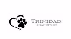 Trinidad Transport