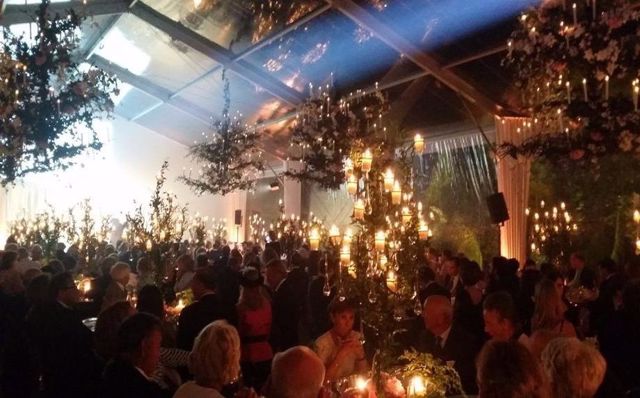 DELTA SERVICES ORGANISATION