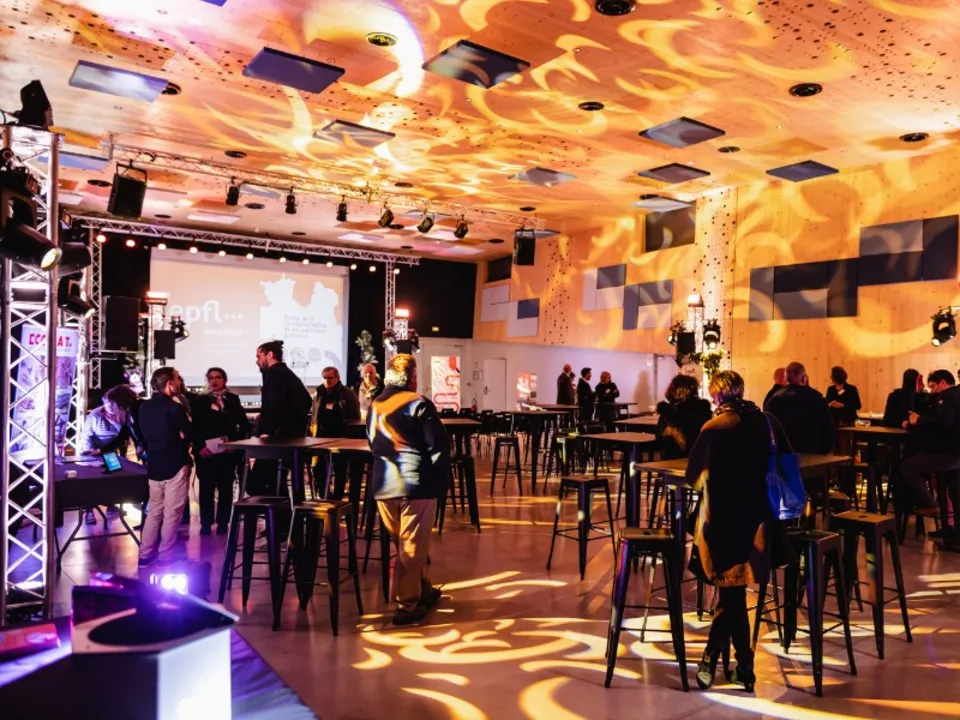 AGENCE DELTA SERVICES ORGANISATION