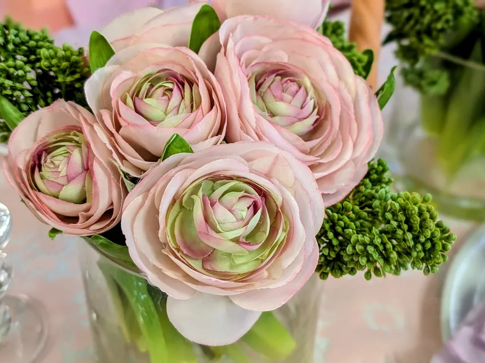 CLAIRE EBELLEPRISO ORGANISATION