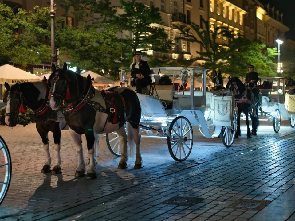 PARIS CALÈCHE