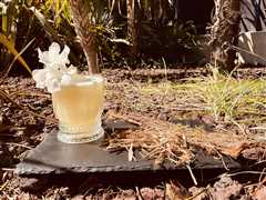 MARGUERITE EVENTS