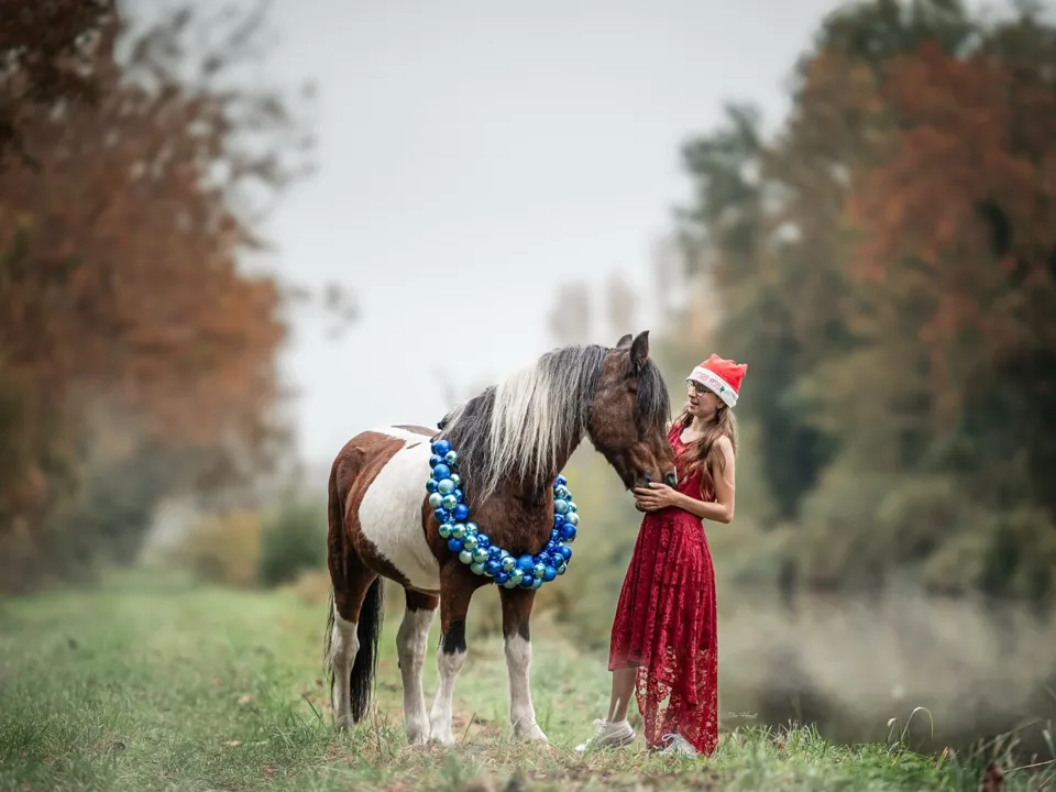 ELISE HENAUT PHOTOGRAPHE