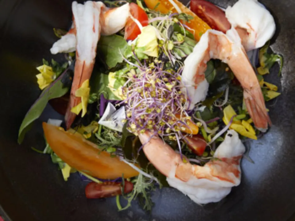 Performance Culinaire
