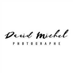 David Michel