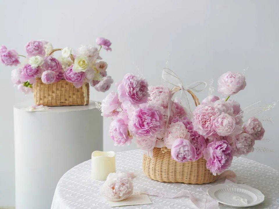 FLEURS D AQUI 