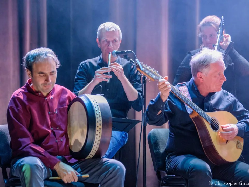 ORCHESTRE DE MUSIQUE IRLANDAISE DE PARIS