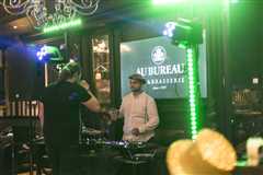 AudioZoom