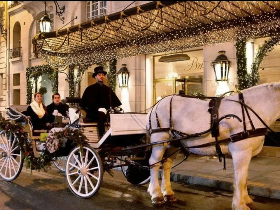 LES ATTELAGES DE PARIS 