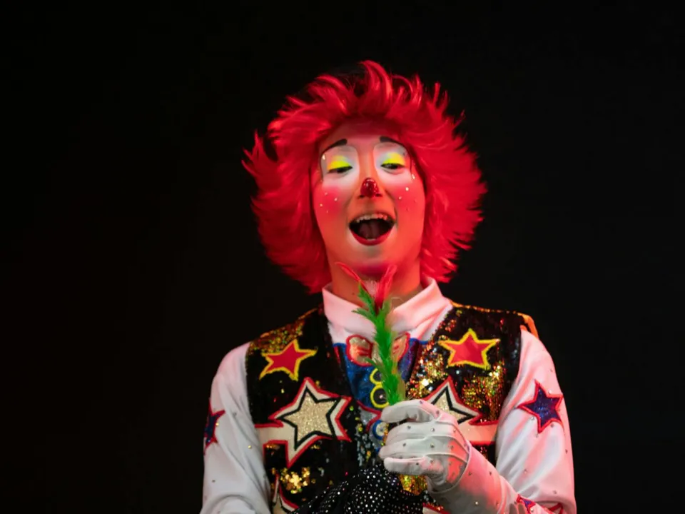 VALEZIC clown