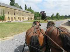 LES SABOTS DU RELAIS