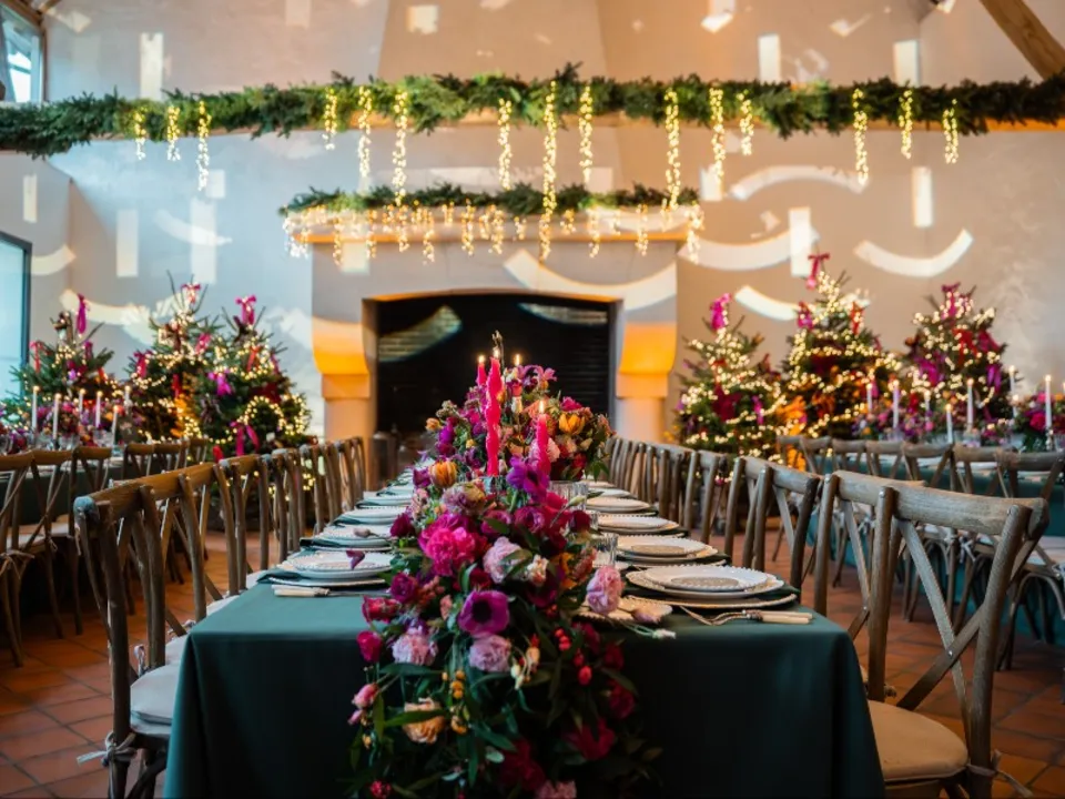 BONA-VENTURE / DOMAINE DES AULNAIES