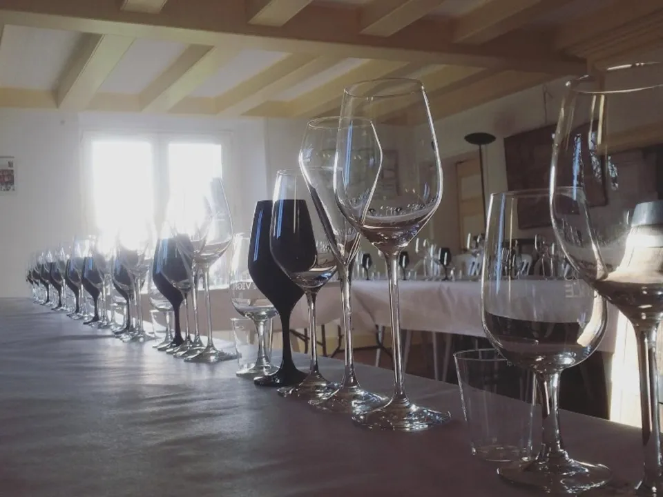 DOMAINE DE LAVAUGUYOT