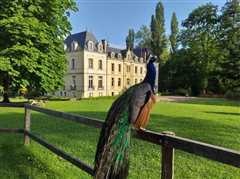 Domaine de Ouézy