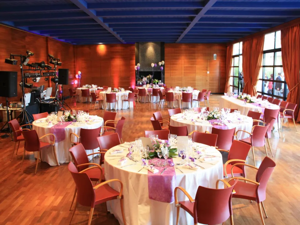 CHATEAU BERTINERIE