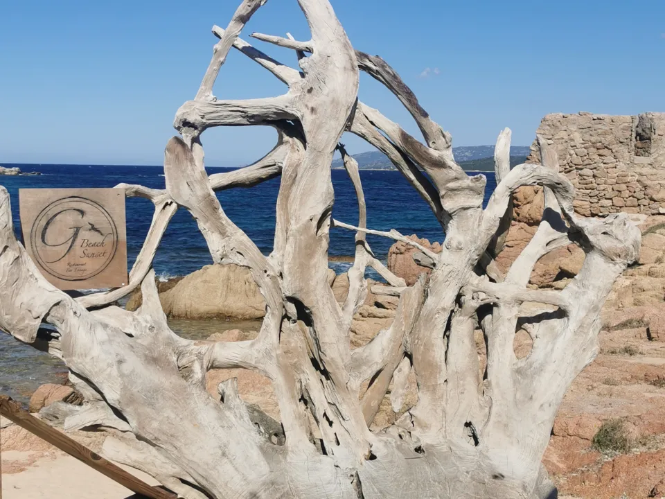 Le Goéland Beach