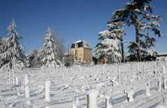 Château Cassagne Haut-Canon