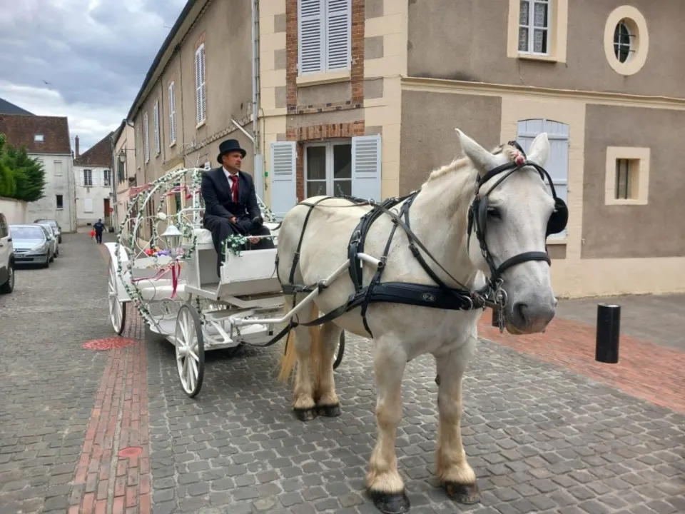 ATTELAGES  JL MARGUERY 